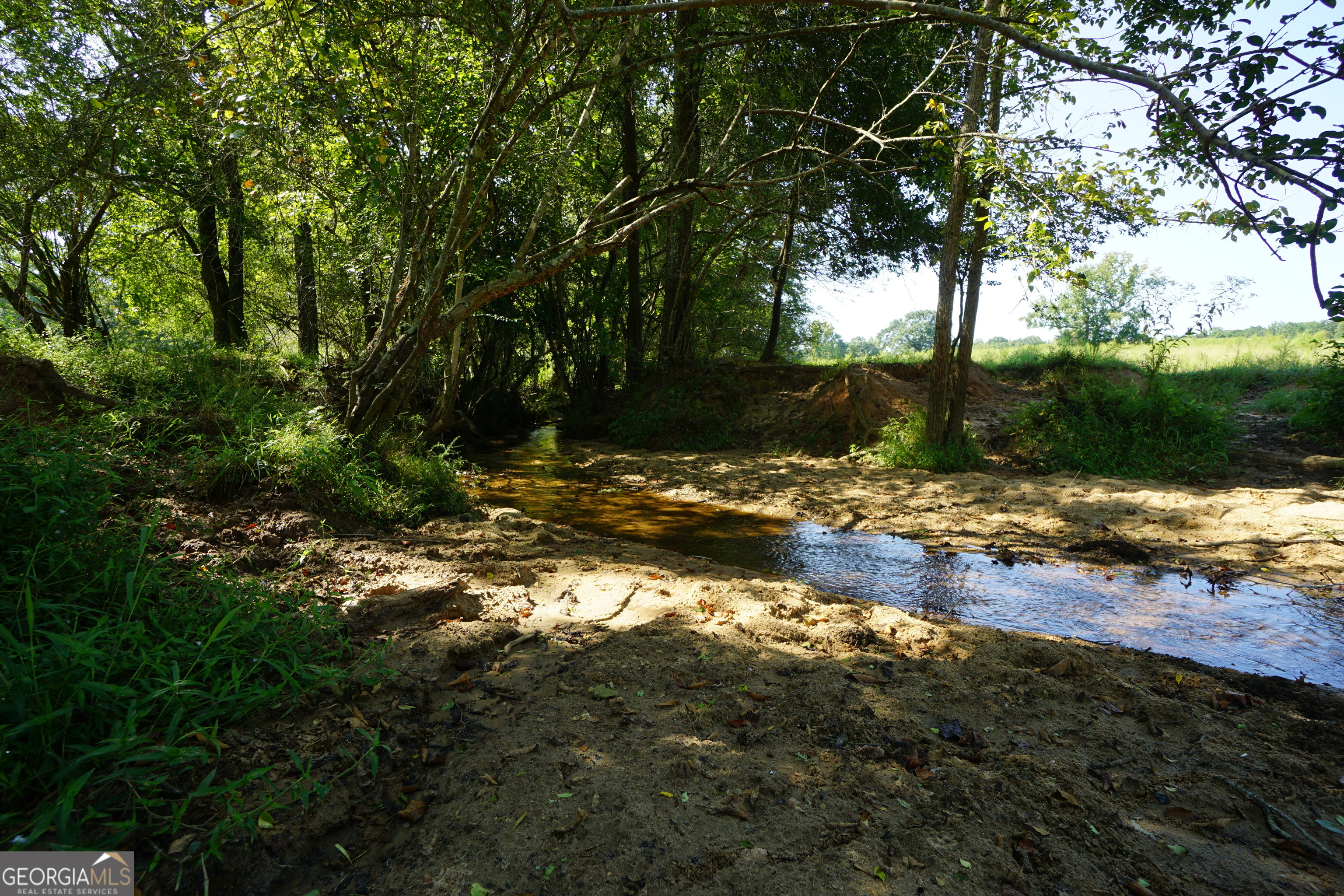 260.66-ac Bohannon Road Grantville, GA 30220 - Photo 18 of 22 a view of yard