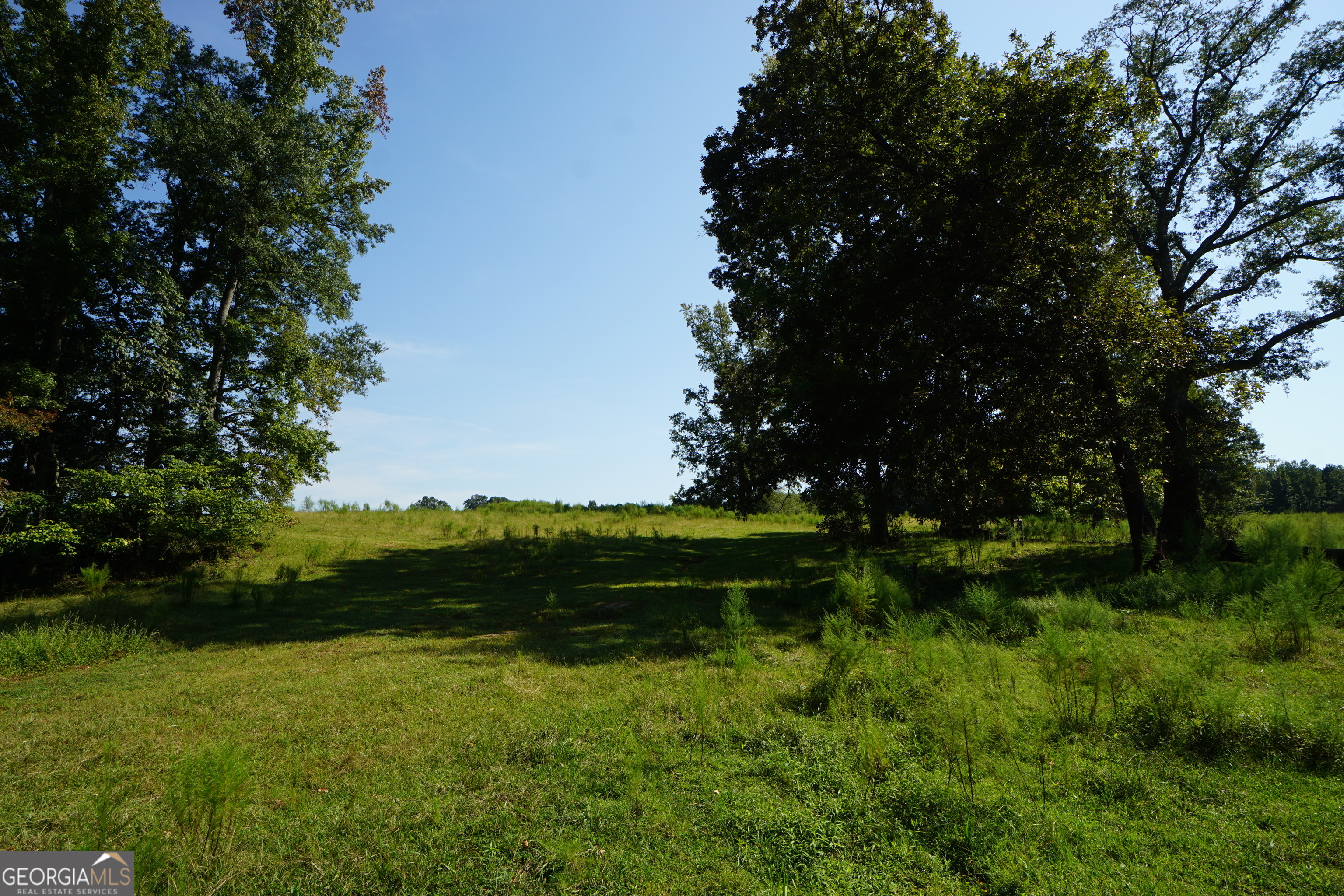 260.66-ac Bohannon Road Grantville, GA 30220 - Photo 19 of 22 a yard with lots of green space