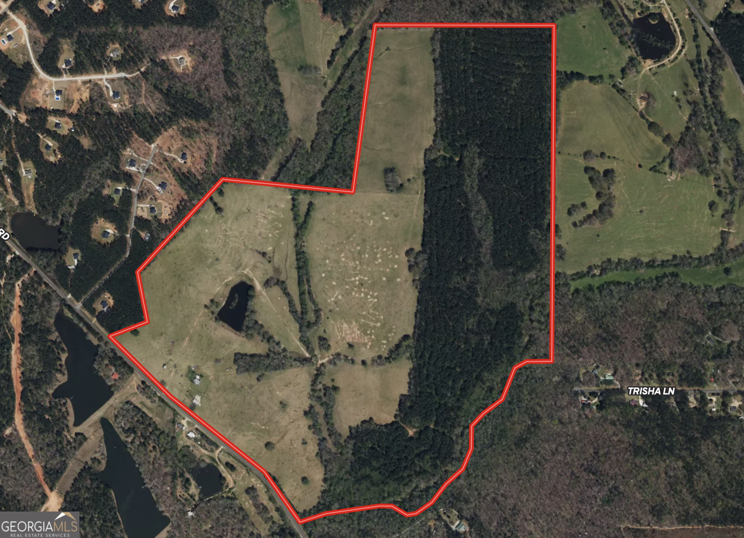 260.66-ac Bohannon Road Grantville, GA 30220 - Photo 2 of 22