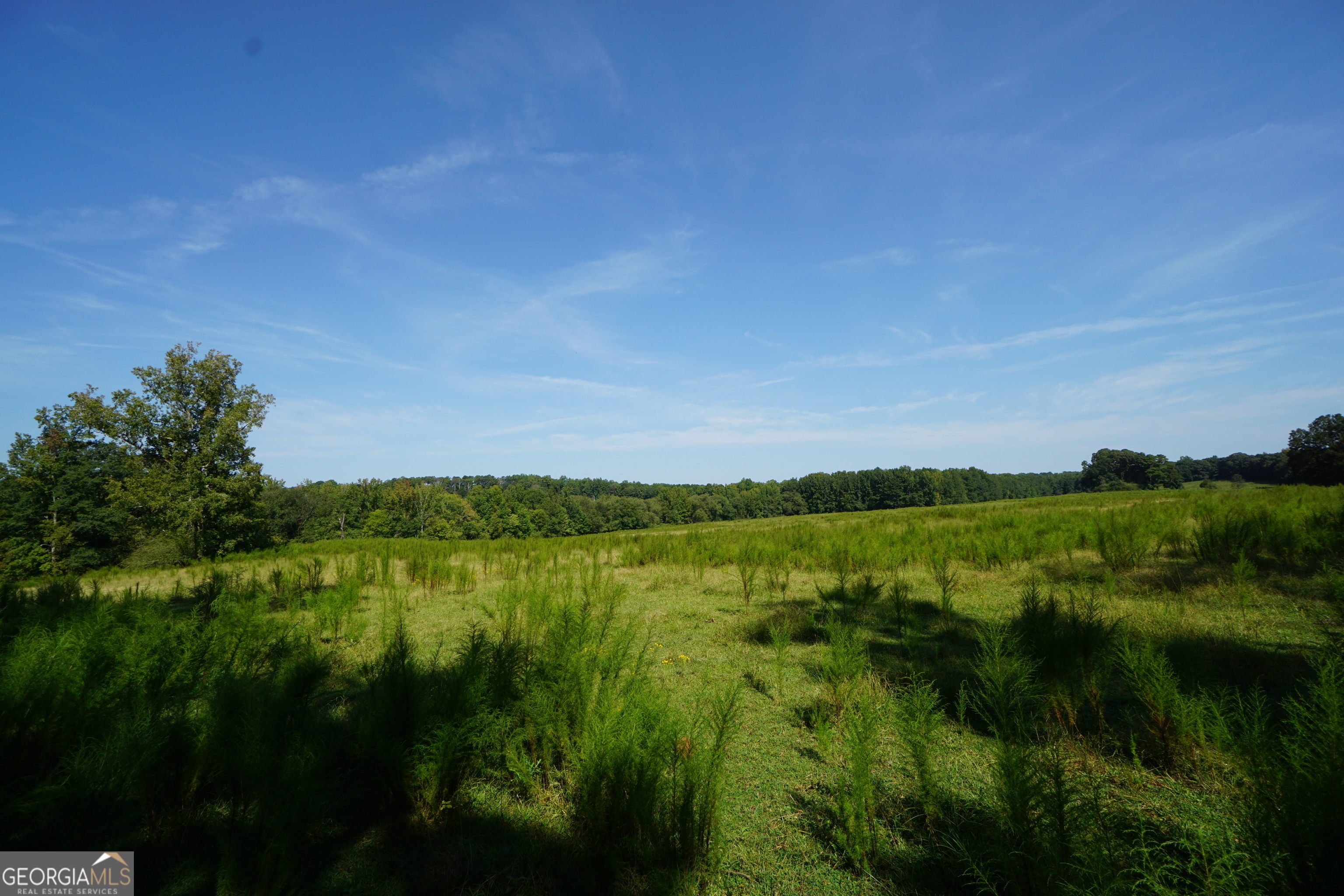 260.66-ac Bohannon Road Grantville, GA 30220 - Photo 22 of 22 a view of lake and green valley