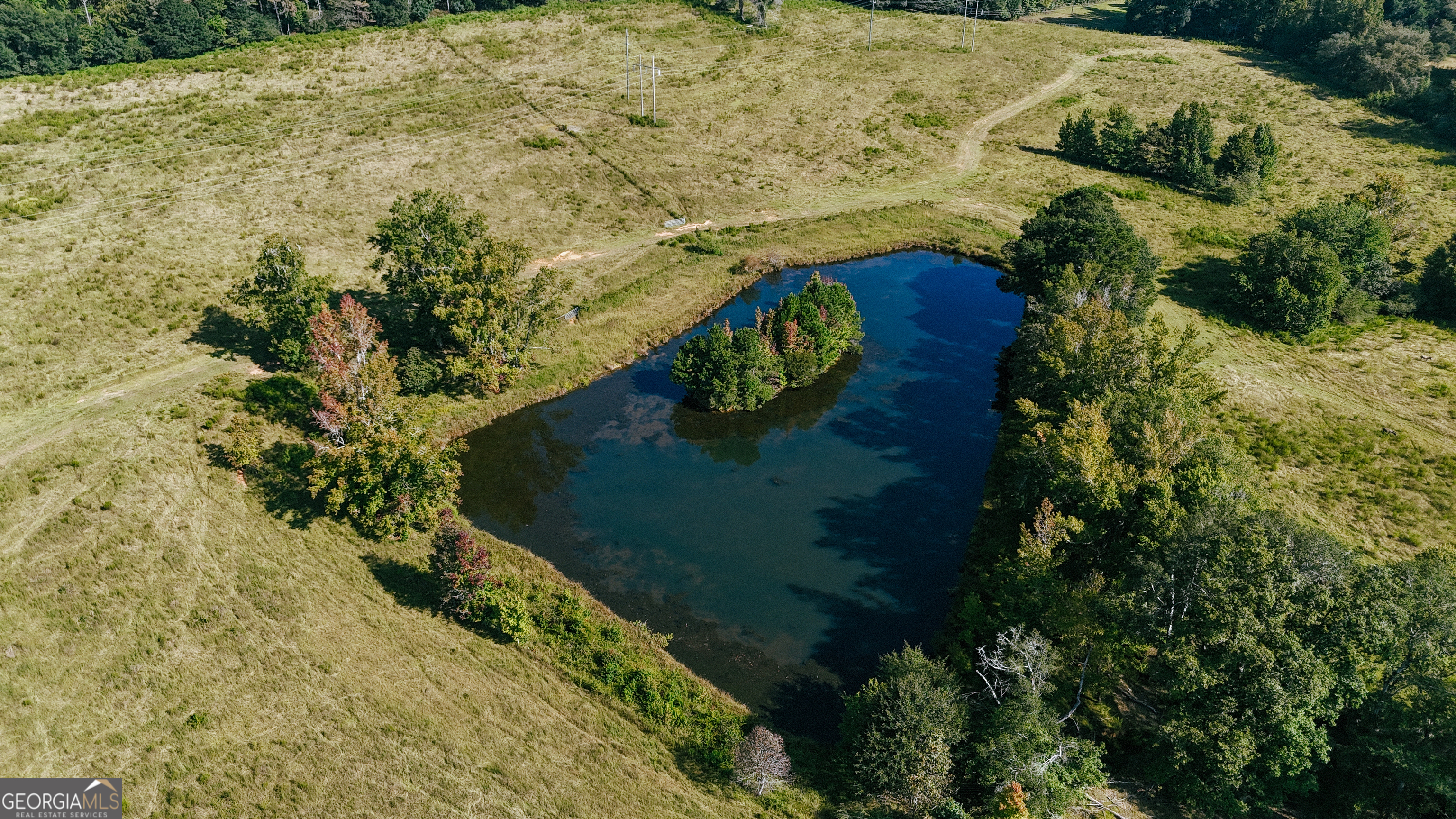 260.66-ac Bohannon Road Grantville, GA 30220 - Photo 5 of 22 a view of outdoor space and garden