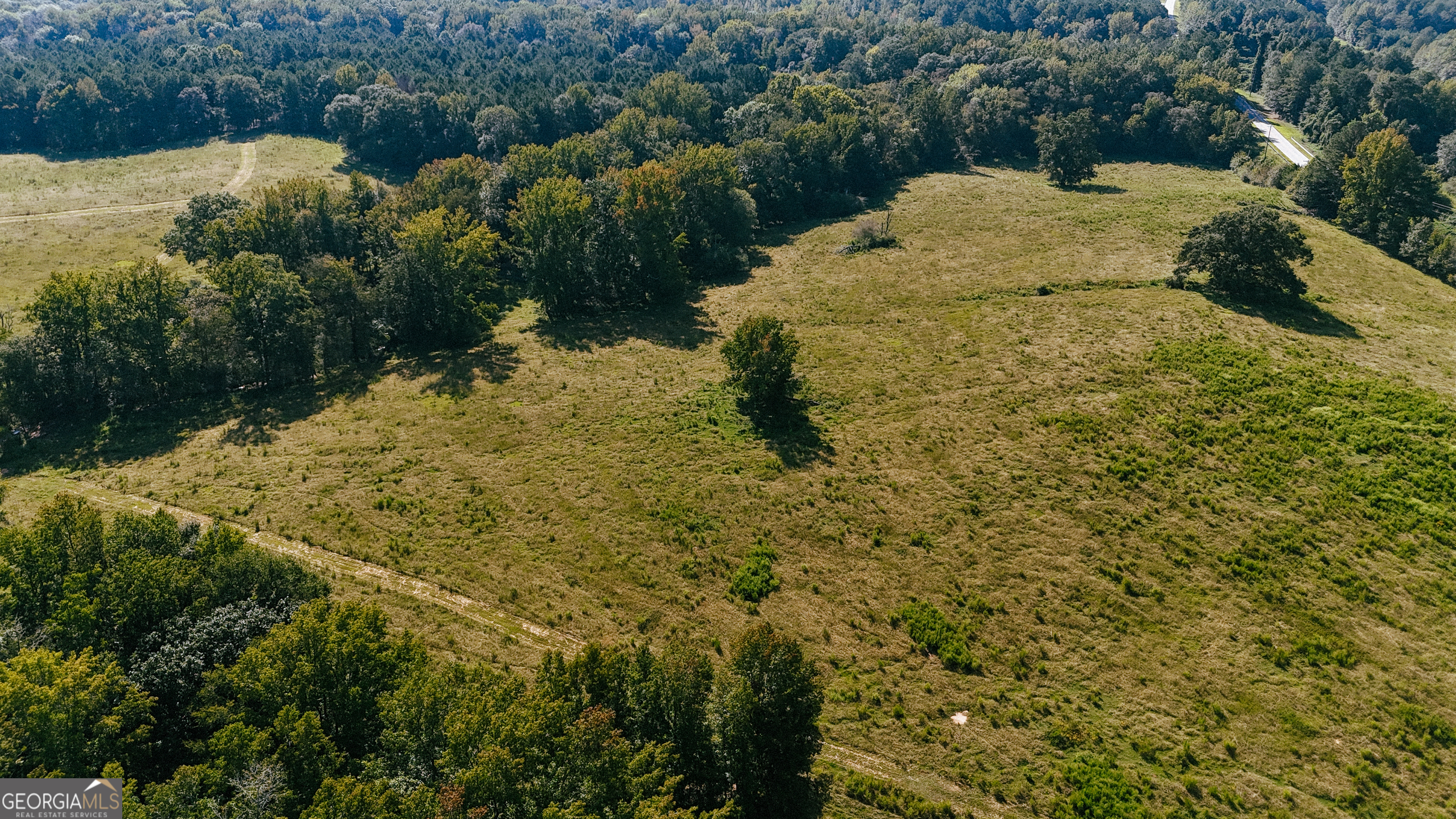 260.66-ac Bohannon Road Grantville, GA 30220 - Photo 6 of 22 a view of a yard