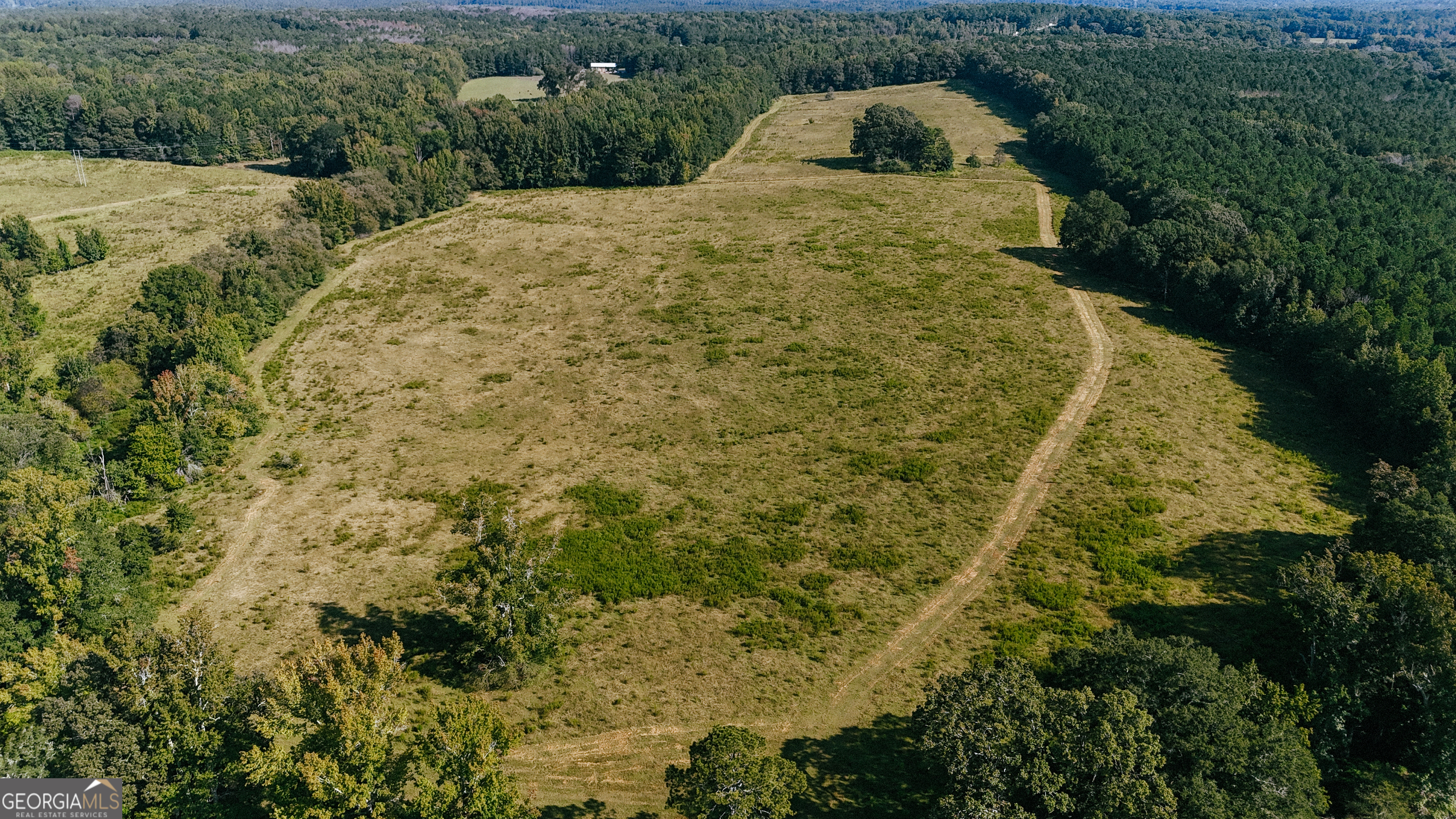 260.66-ac Bohannon Road Grantville, GA 30220 - Photo 7 of 22 a view of a garden with a pathway