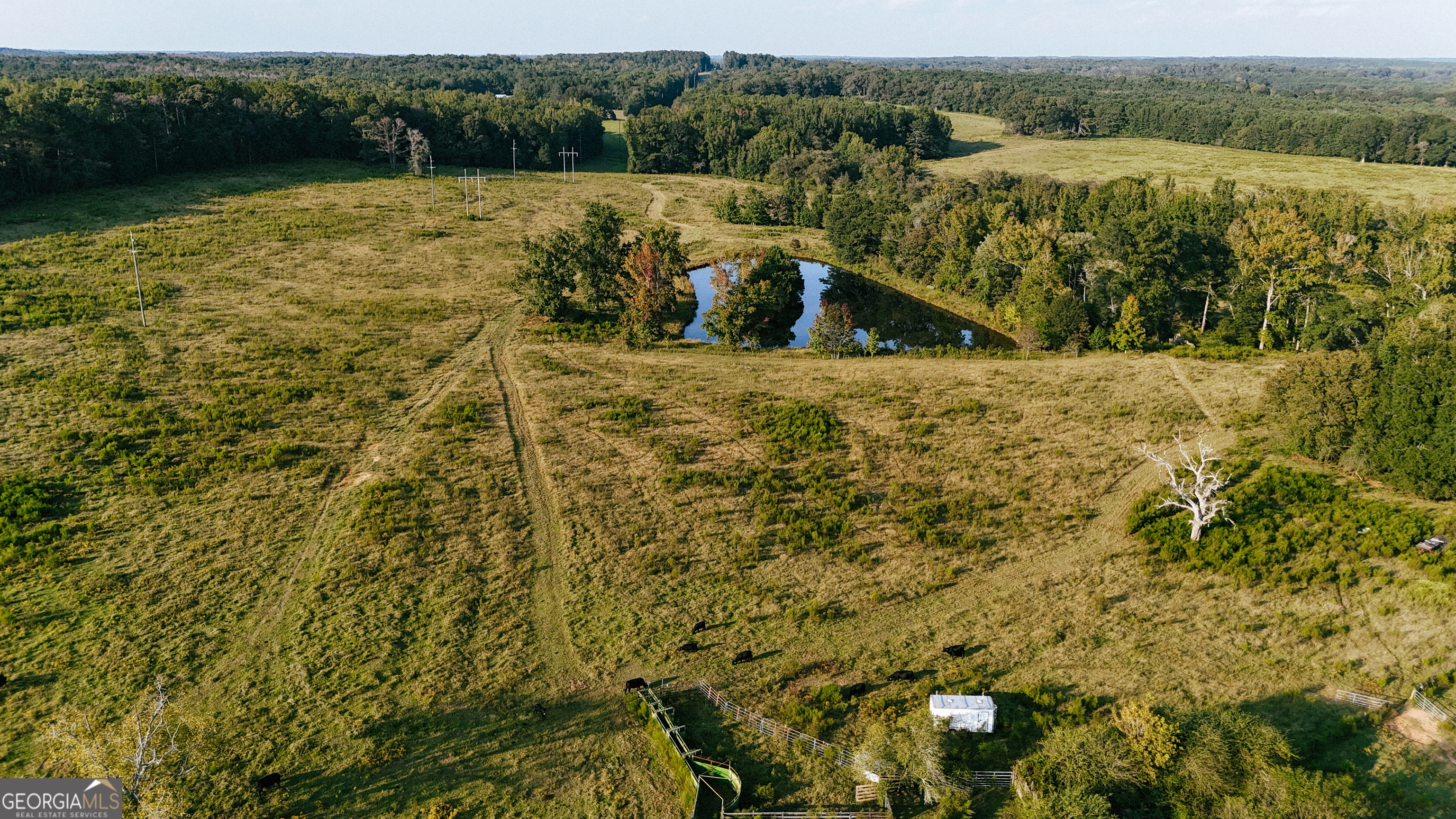 260.66-ac Bohannon Road Grantville, GA 30220 - Photo 10 of 22 a view of a lake with houses