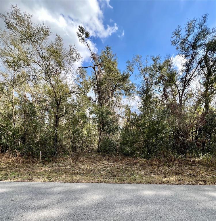 Smallman Street Webster, FL 33597 - Photo 1 of 1 a view of a yard with a tree