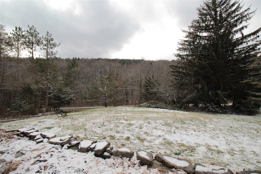 565 Brooks Road Castle Creek, NY 13744 - Photo 31 of 35 Gallery Image 31