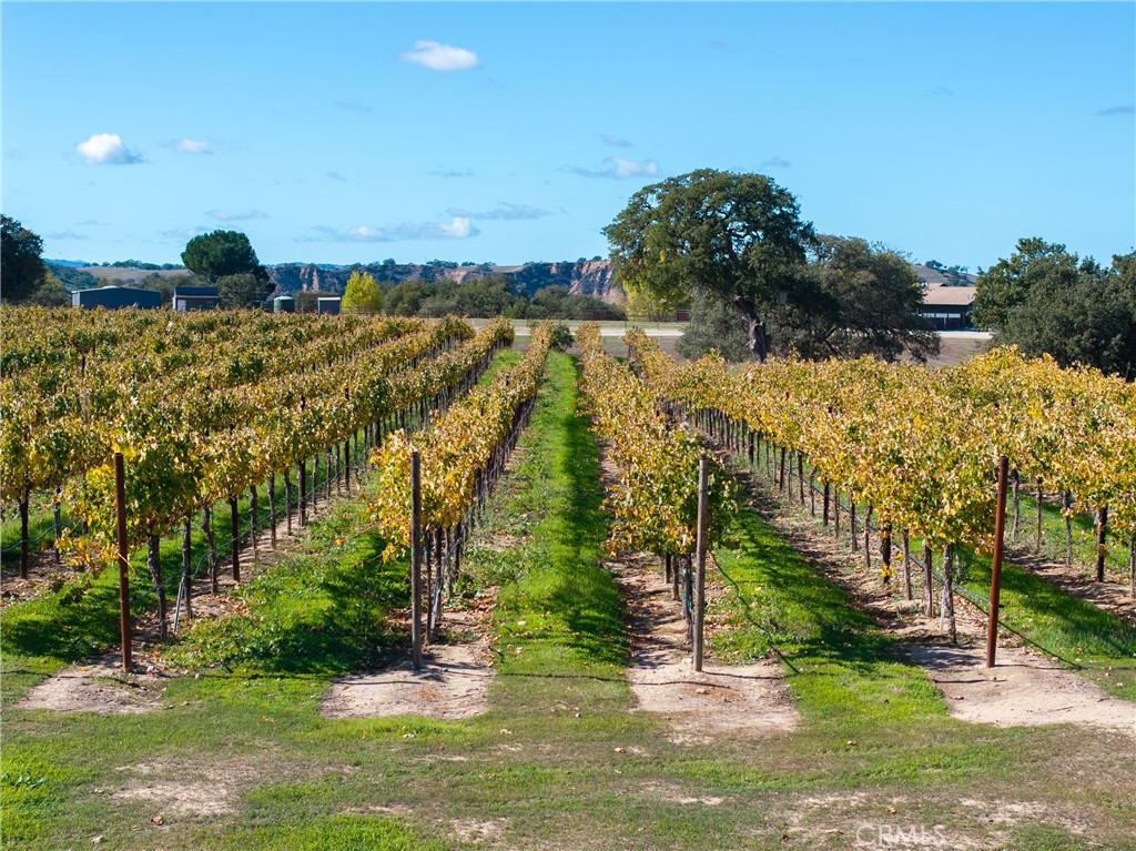 7790 Airport Road Paso Robles, CA 93446 - Photo 67 of 71 a view of a lake with a building in the background