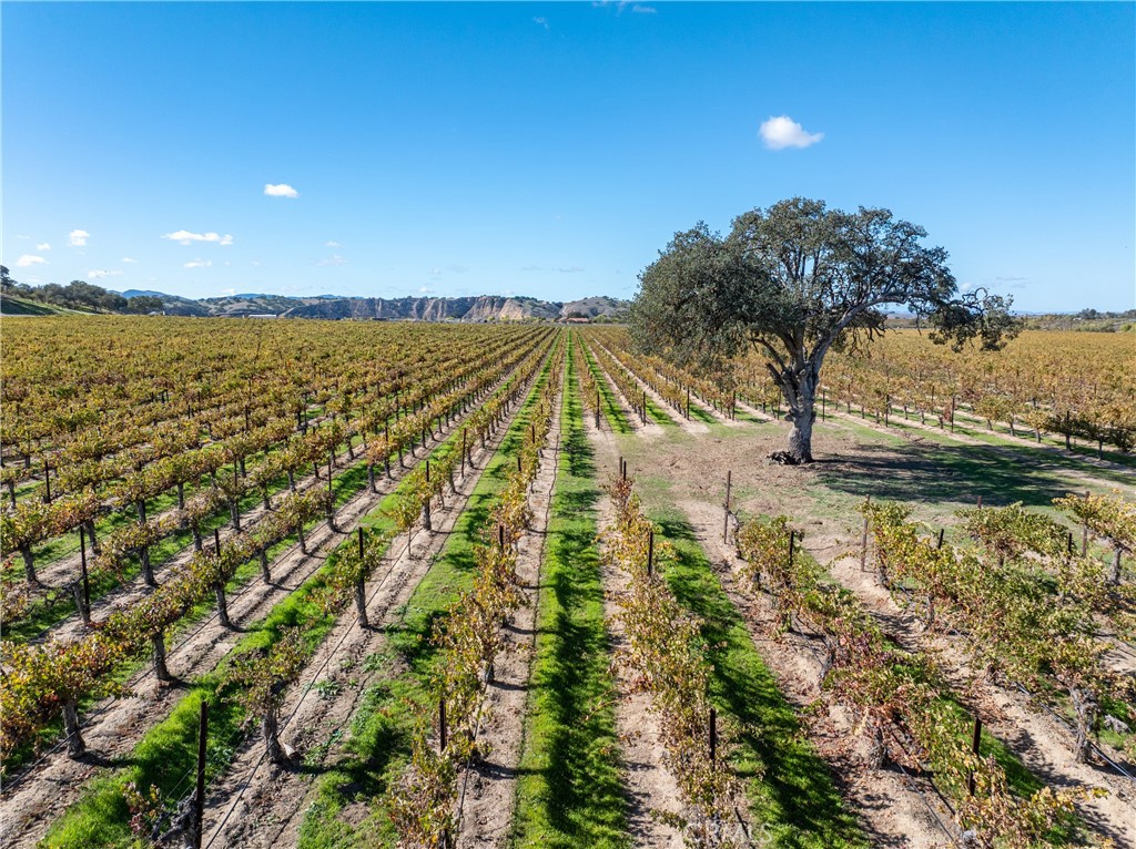 7790 Airport Road Paso Robles, CA 93446 - Photo 68 of 71