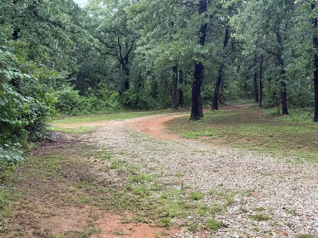 a backyard of a house with trees and wooden fence