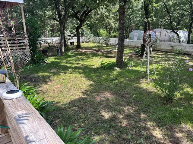 a view of a trees in a yard