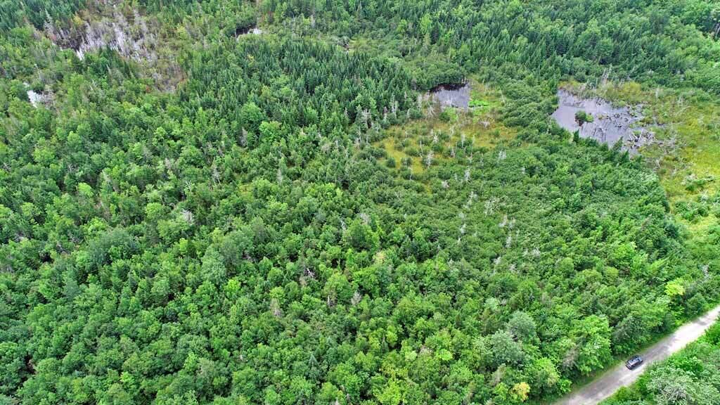 Lot 8 Laskey Road Houlton, ME 04730 - Photo 6 of 25 timberland-land-maine