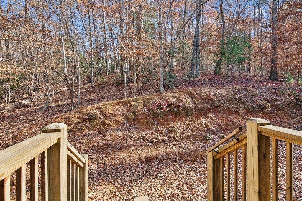 64 Blue Springs Road Ellijay, GA 30540 - Photo 14 of 36 Gallery Image 14