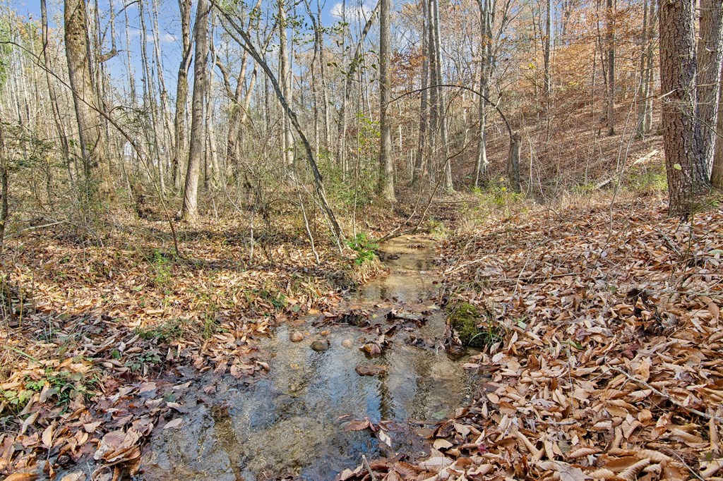 64 Blue Springs Road Ellijay, GA 30540 - Photo 33 of 36 Gallery Image 33