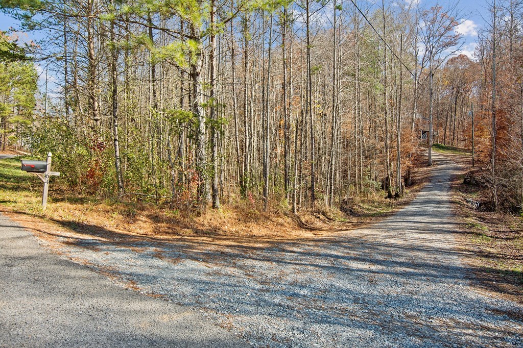 64 Blue Springs Road Ellijay, GA 30540 - Photo 34 of 36 Gallery Image 34