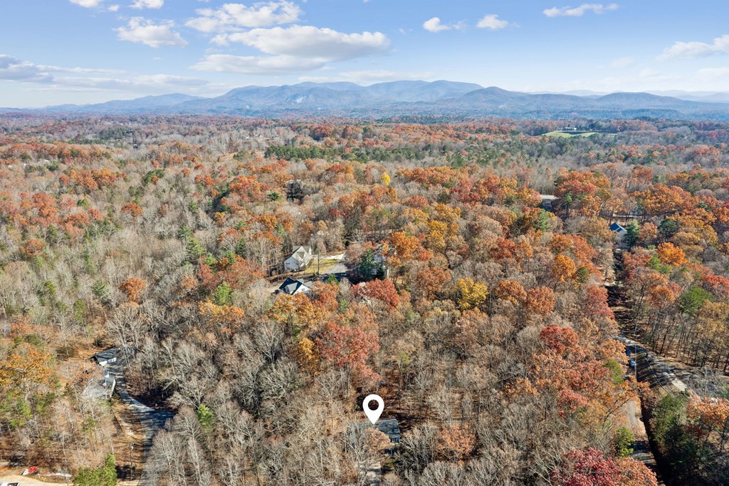 64 Blue Springs Road Ellijay, GA 30540 - Photo 36 of 36 Gallery Image 36