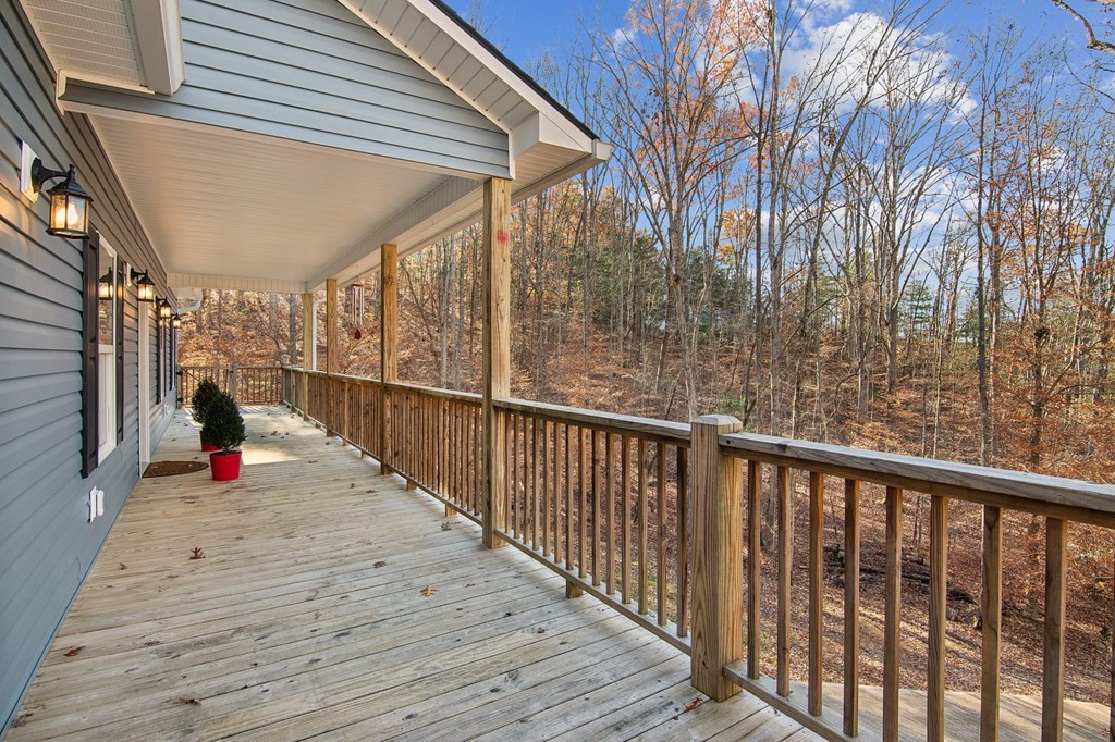 64 Blue Springs Road Ellijay, GA 30540 - Photo 4 of 36 Gallery Image 4