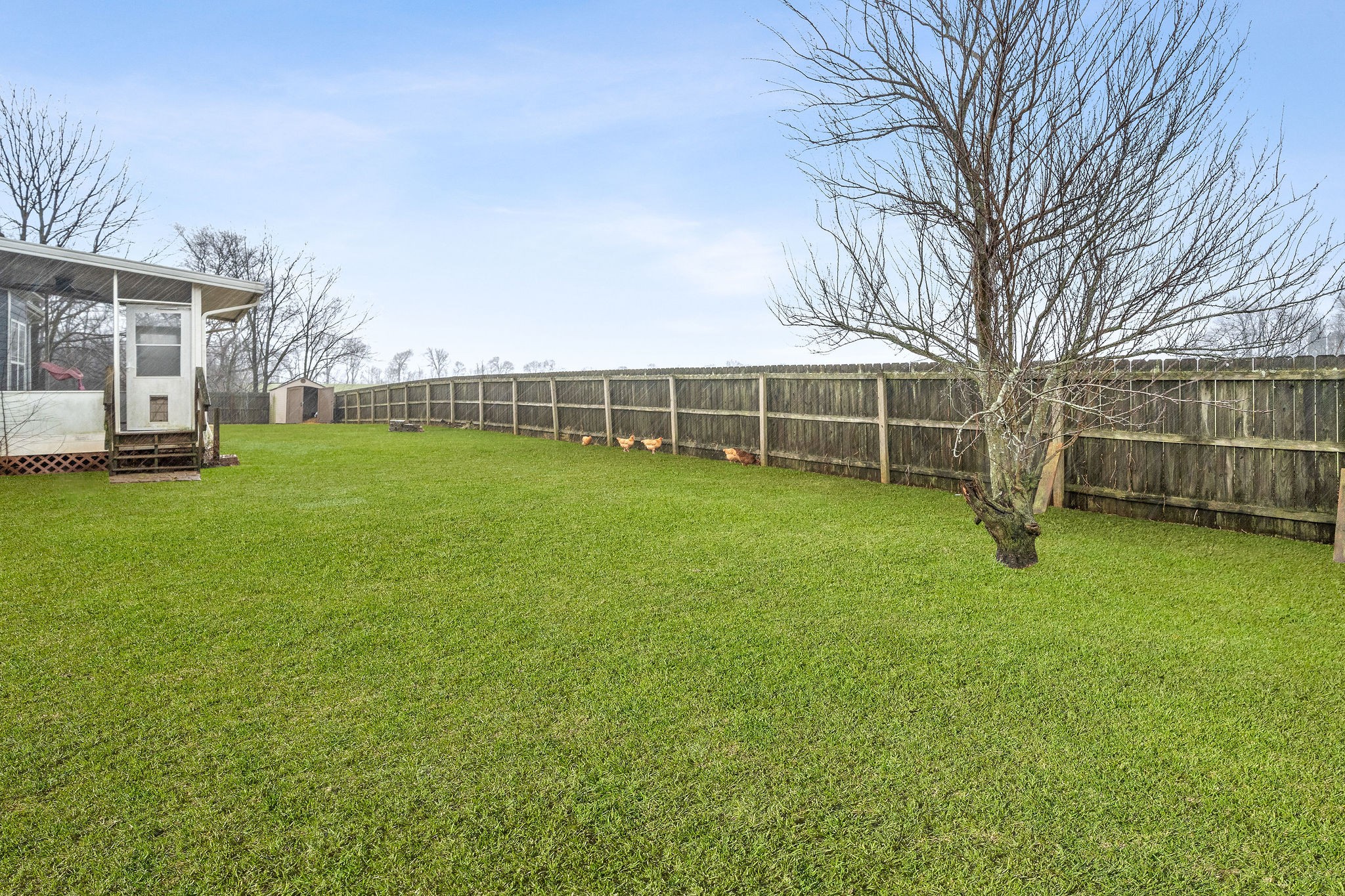 233 Barkers Mill Road Pembroke, KY 42266 - Photo 42 of 48