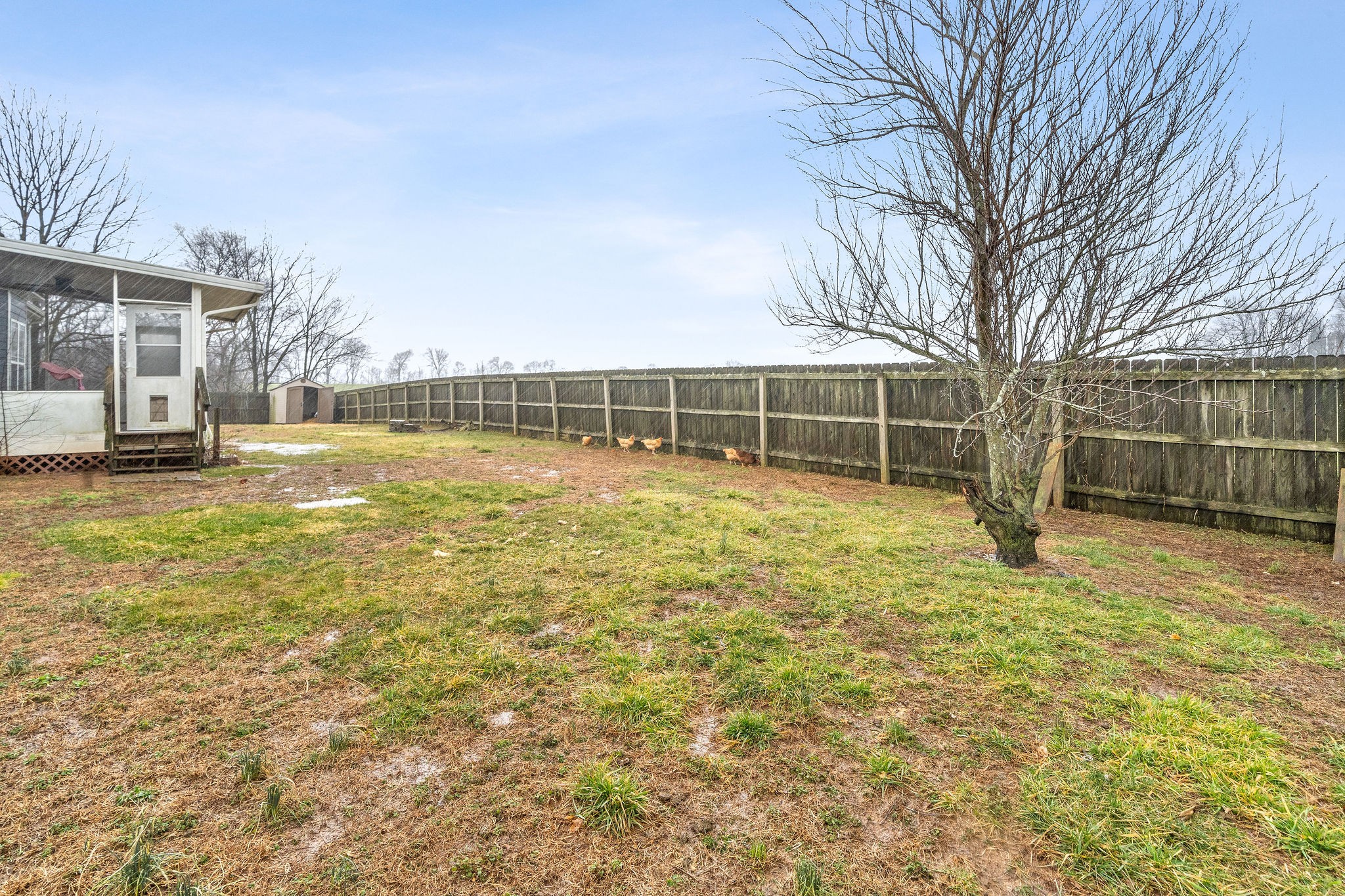 233 Barkers Mill Road Pembroke, KY 42266 - Photo 43 of 48 a view of a swimming pool with an outdoor space and seating area