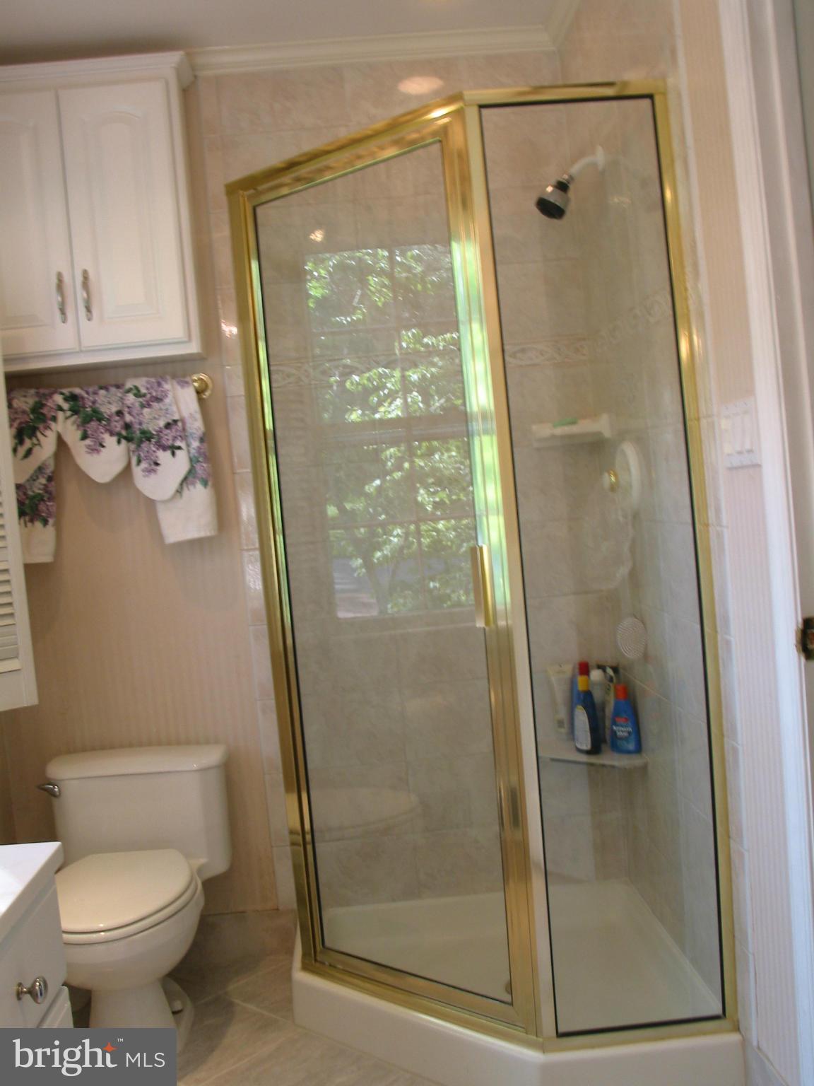 8304 Riding Ridge Place McLean, VA 22102 - Photo 12 of 26 Bath (Master)
