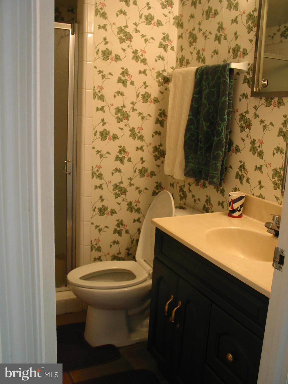 8304 Riding Ridge Place McLean, VA 22102 - Photo 15 of 26 Bath