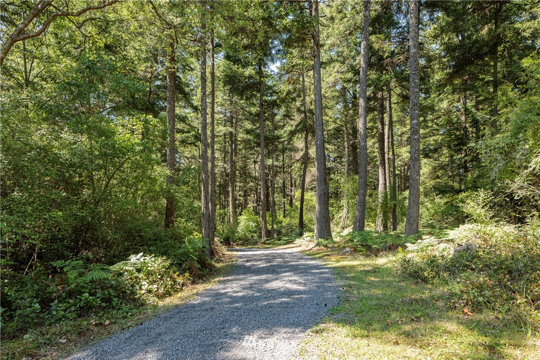 1326 Lopez Sound Road Lopez Island, WA 98261 - Photo 3 of 11