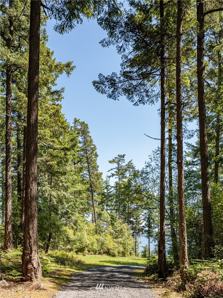 1326 Lopez Sound Road Lopez Island, WA 98261 - Photo 5 of 11