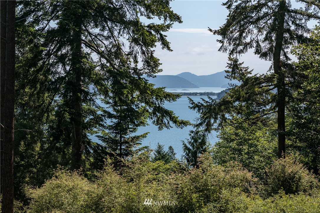 1326 Lopez Sound Road Lopez Island, WA 98261 - Photo 10 of 11