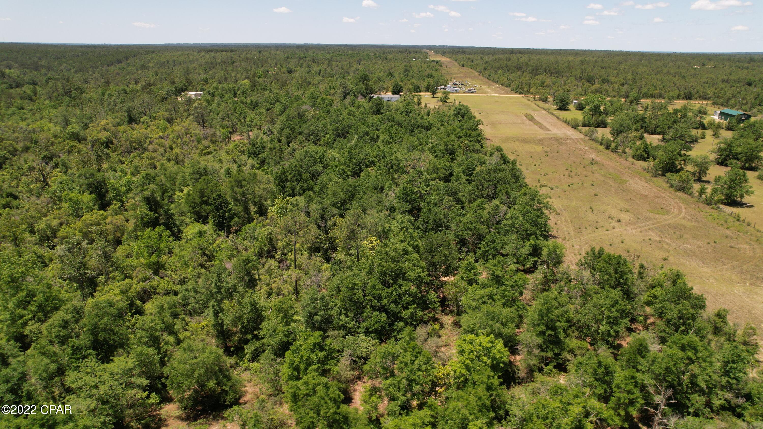 0 Diddly Road Chipley, FL 32428 - Photo 8 of 25 Gallery Image 8