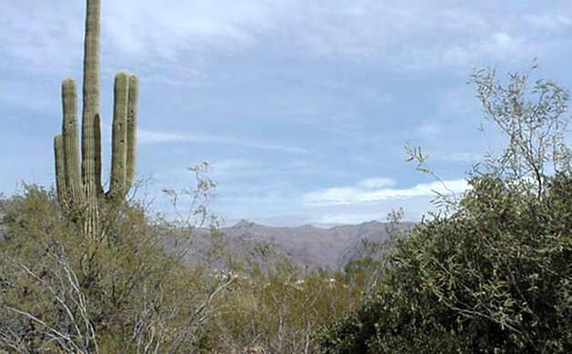 1600 South Val Vista Road Apache Junction, AZ 85119 - Photo 2 of 6 Additional Photo