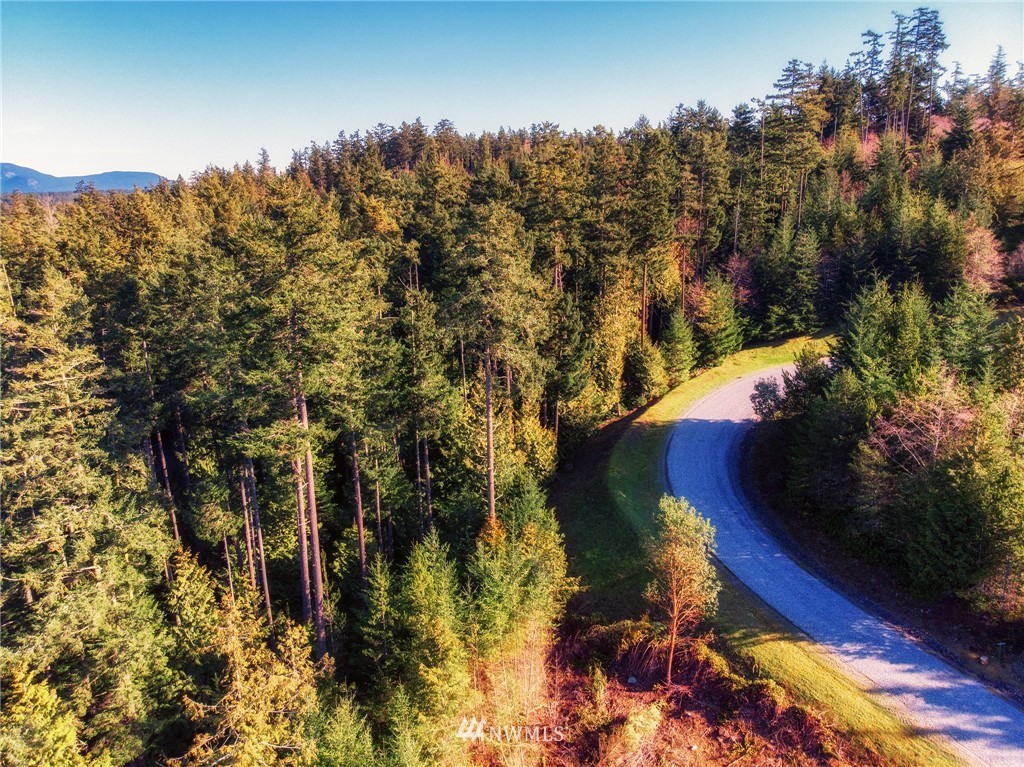 7 Rum Runner Road Lopez Island, WA 98261 - Photo 2 of 9 Gallery Image 2