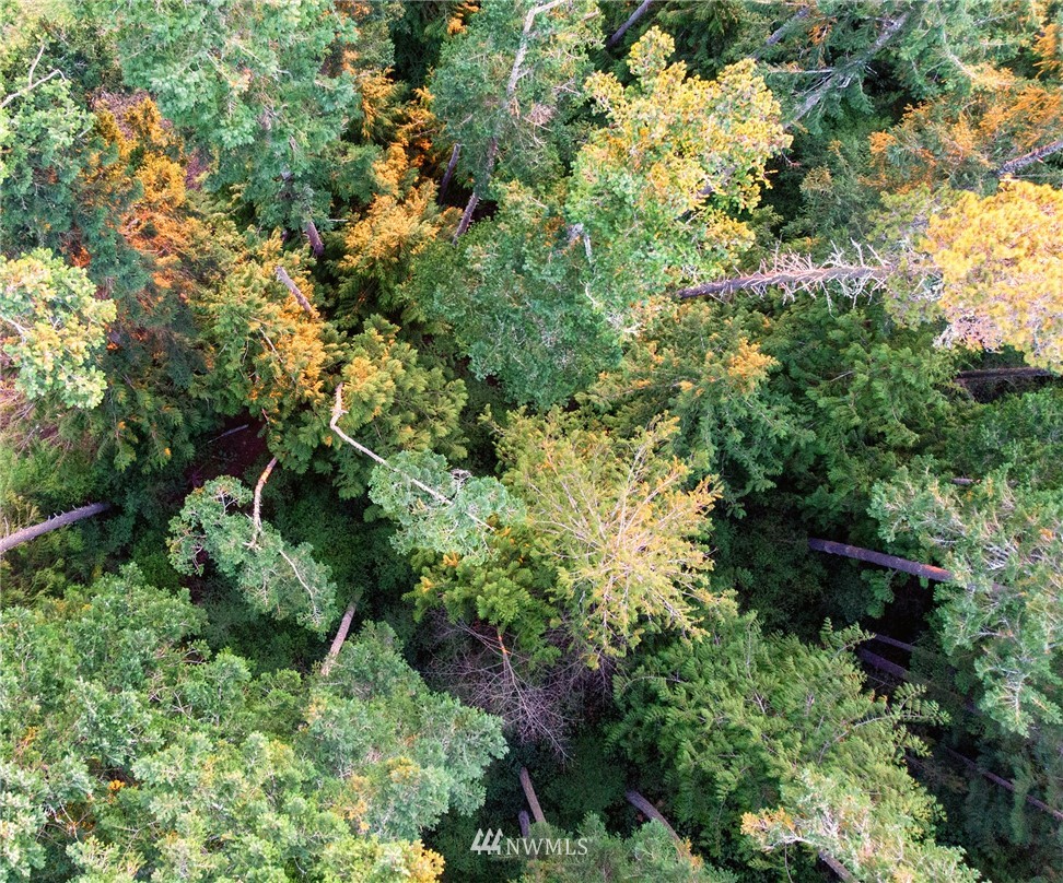 7 Rum Runner Road Lopez Island, WA 98261 - Photo 3 of 9 Gallery Image 3