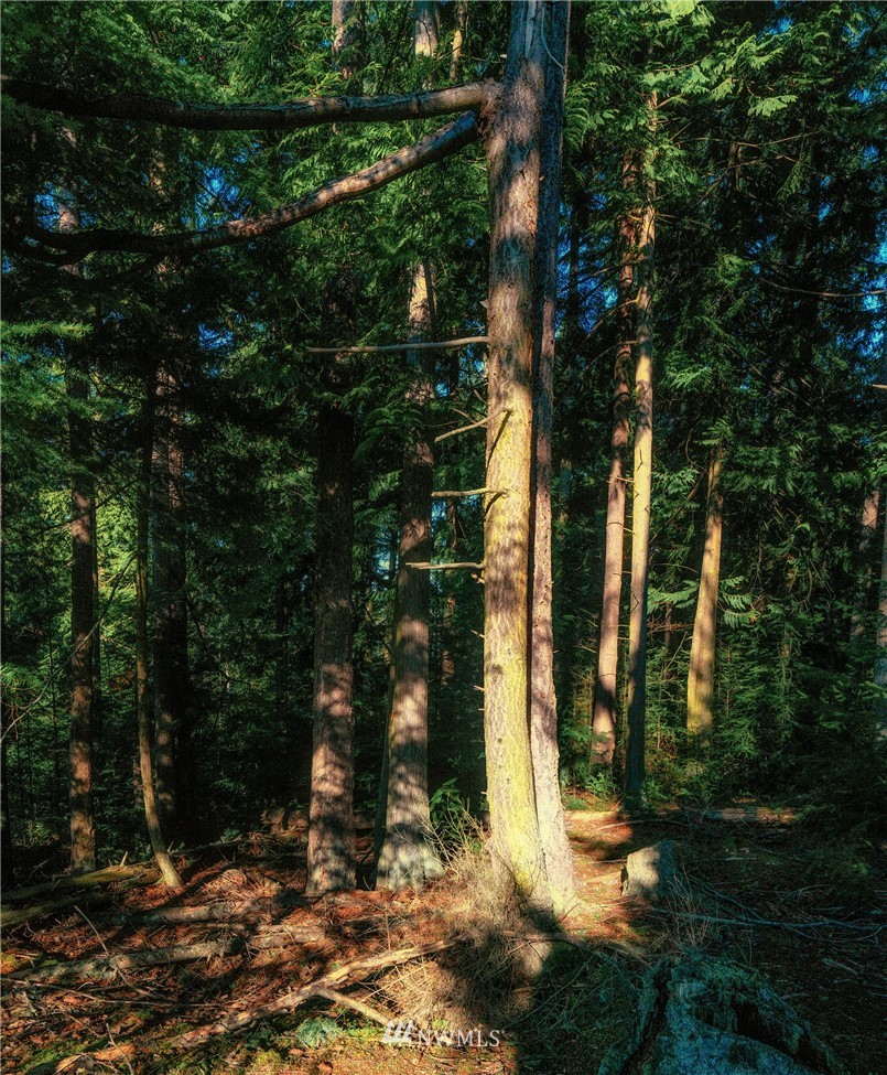 7 Rum Runner Road Lopez Island, WA 98261 - Photo 4 of 9 Gallery Image 4