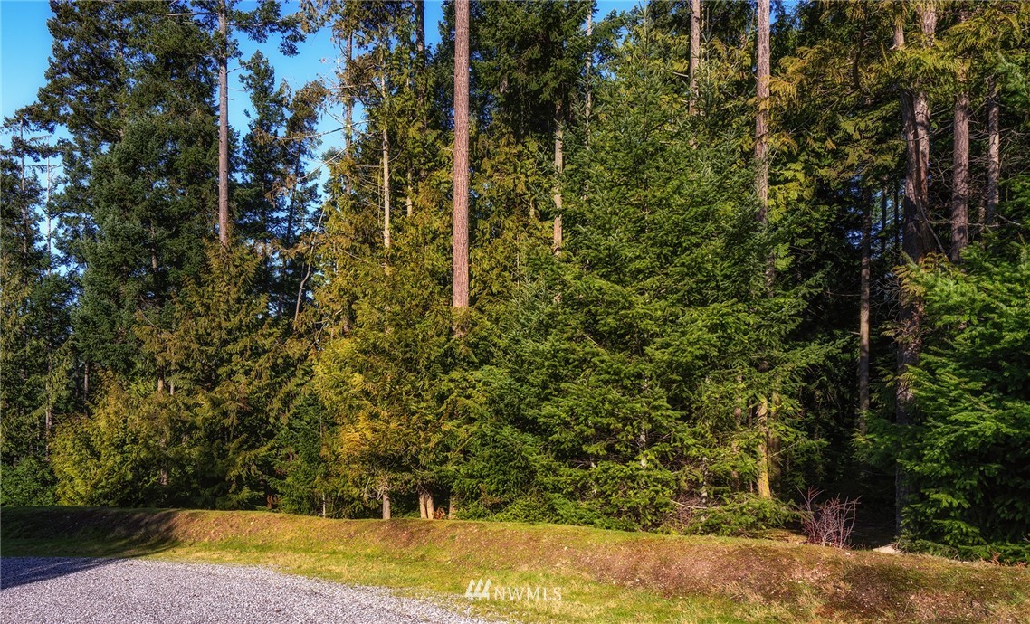 7 Rum Runner Road Lopez Island, WA 98261 - Photo 5 of 9 Gallery Image 5