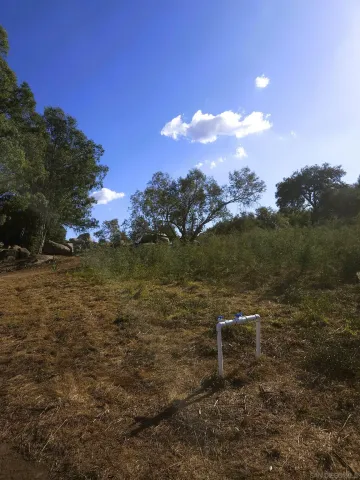 a view of a lush green hillside and a houses