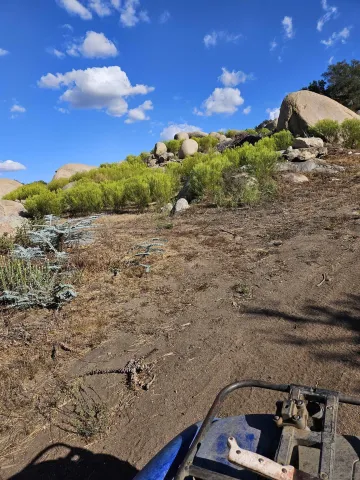 a view of a town with mountains in the background