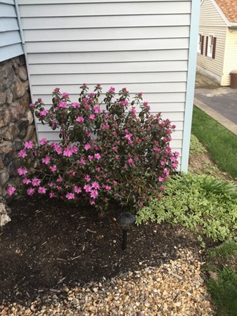 145 Barnard Road Worcester, MA 01605 - Photo 18 of 20 Gallery Image 18