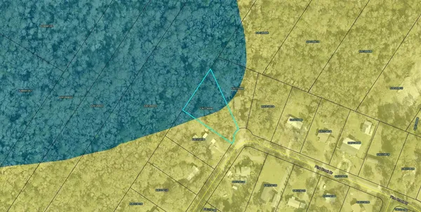 a view of a big yard with plants and wooden fence