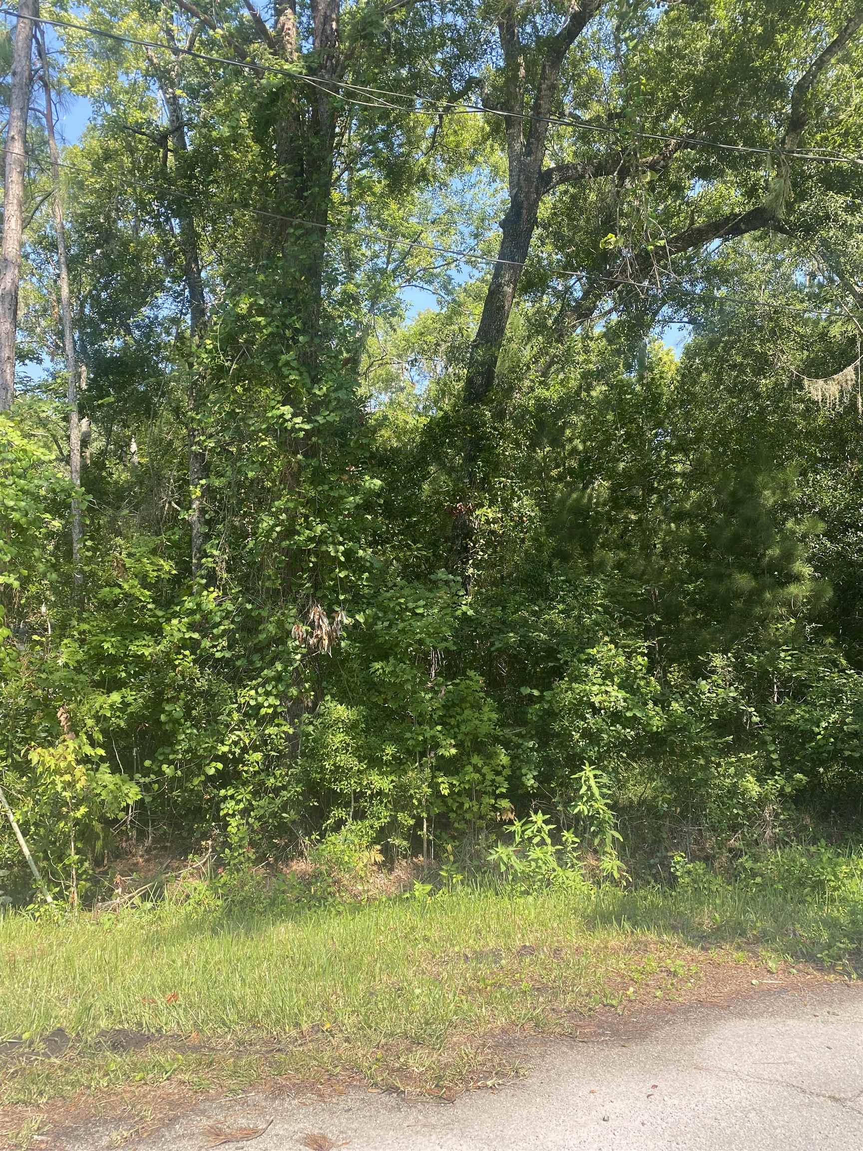 5900 Pine Creek Drive St. Augustine, FL 32092 - Photo 4 of 5 a view of a yard