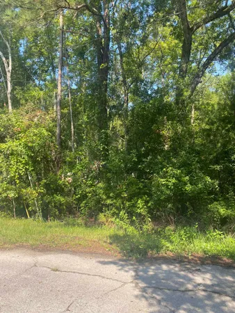 a view of yard with green space
