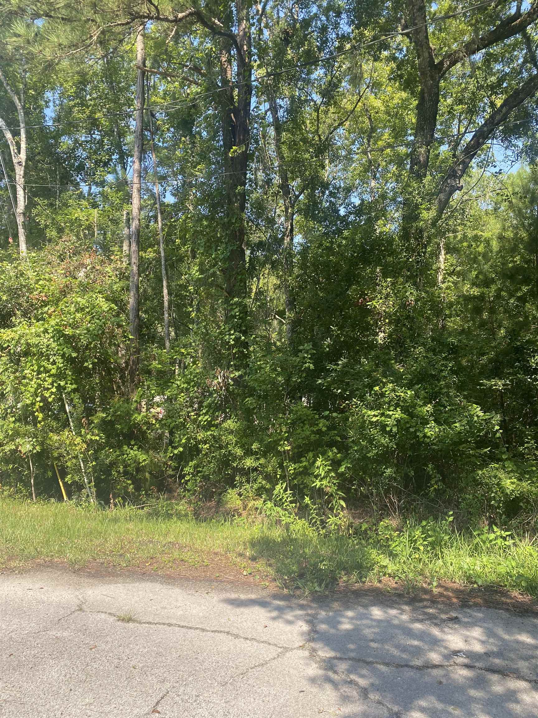 5900 Pine Creek Drive St. Augustine, FL 32092 - Photo 5 of 5 a view of yard with green space