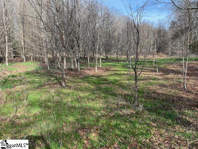 0 Settle Road, Unit LOT 1 Inman, SC 29349 - Photo 1 of 4