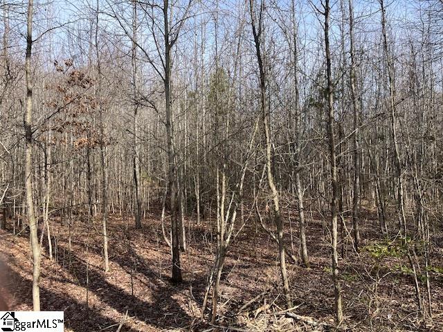 0 Settle Road, Unit LOT 1 Inman, SC 29349 - Photo 2 of 4