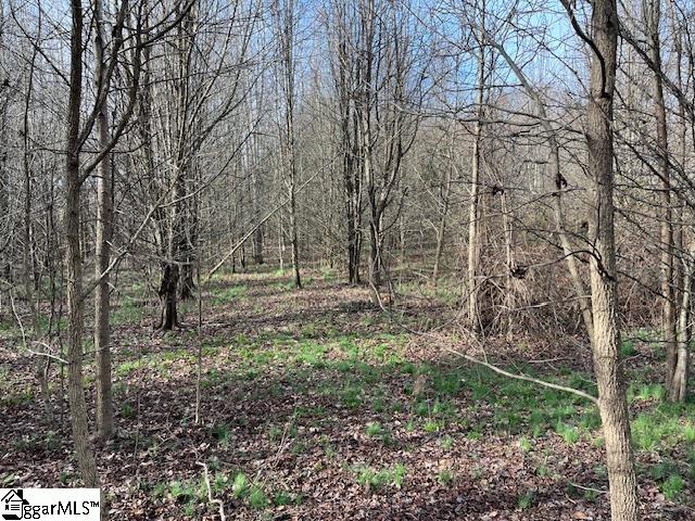 0 Settle Road, Unit LOT 1 Inman, SC 29349 - Photo 3 of 4