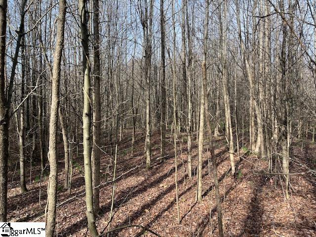 0 Settle Road, Unit LOT 1 Inman, SC 29349 - Photo 4 of 4