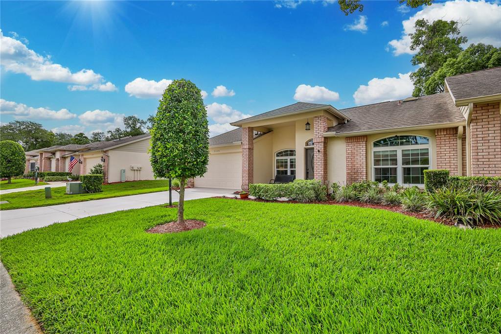 2235 Springmeadow Drive Spring Hill, FL 34606 - Photo 5 of 61