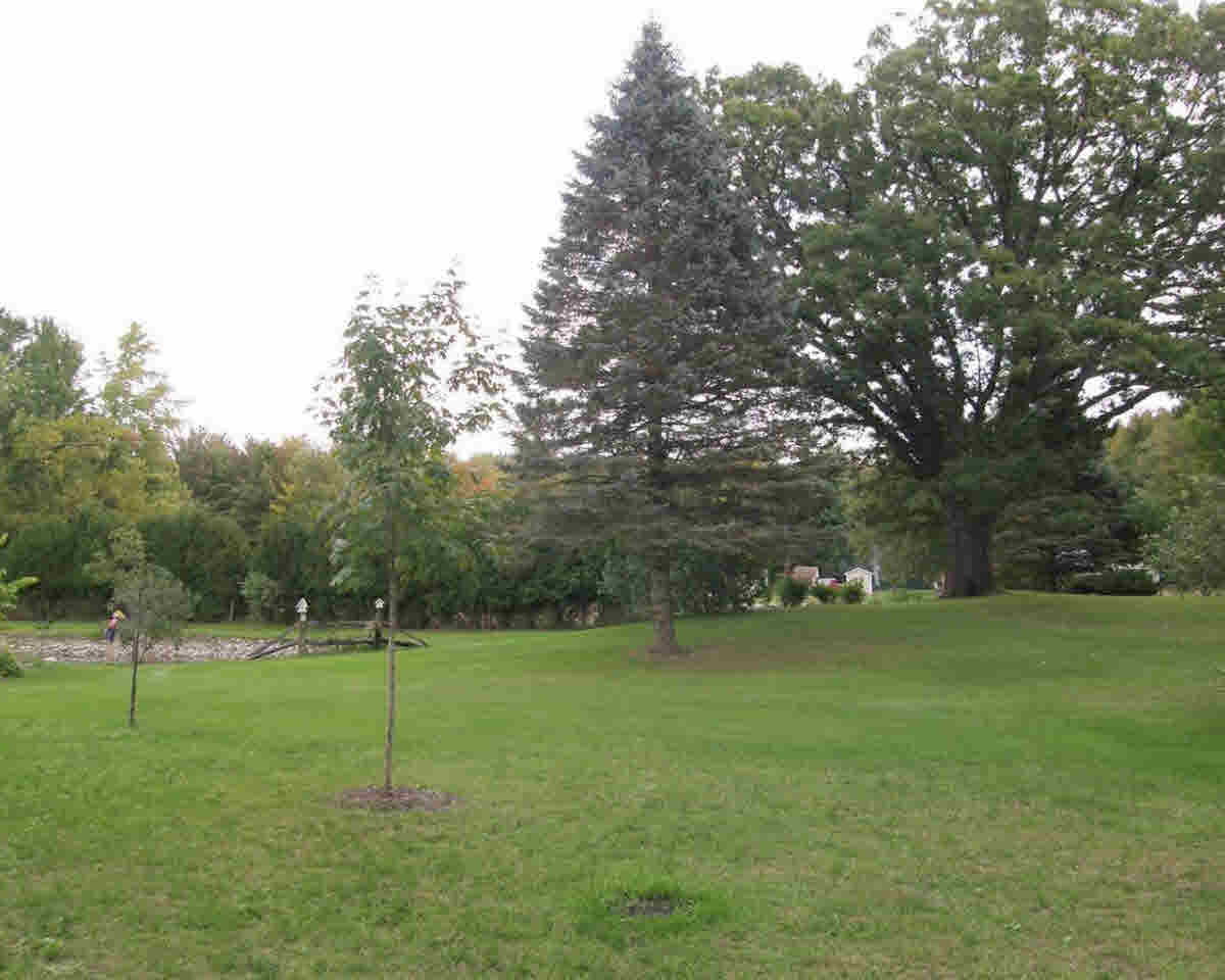 13380 South Hemlock Road Chesaning, MI 48616 - Photo 9 of 23 21340871-8.JPG