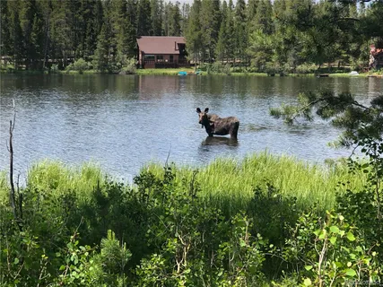 a swimming pool with outdoor seating and trees