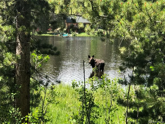 a lake view with a lake view