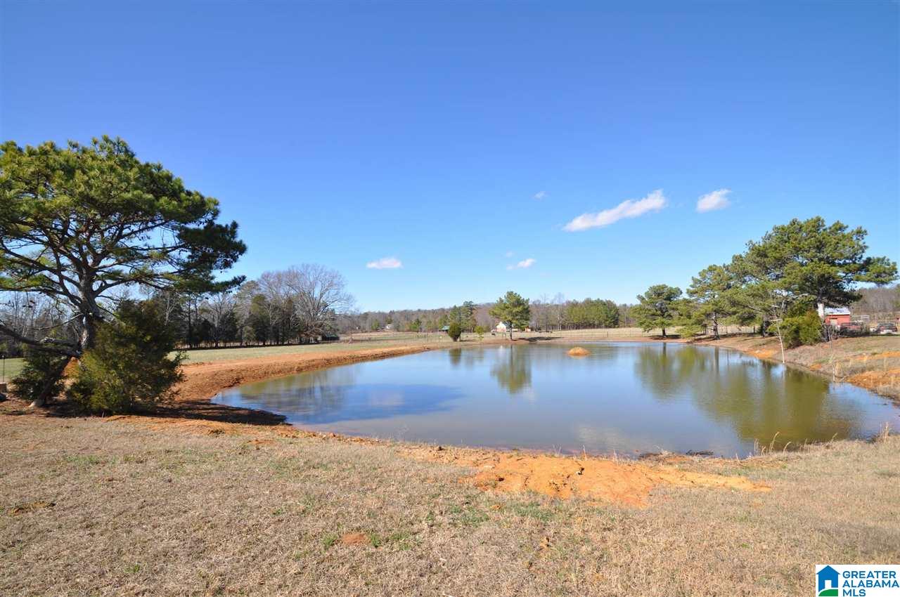 3787 Highway 11 Hayden Al Springville, AL 35146 - Photo 12 of 39