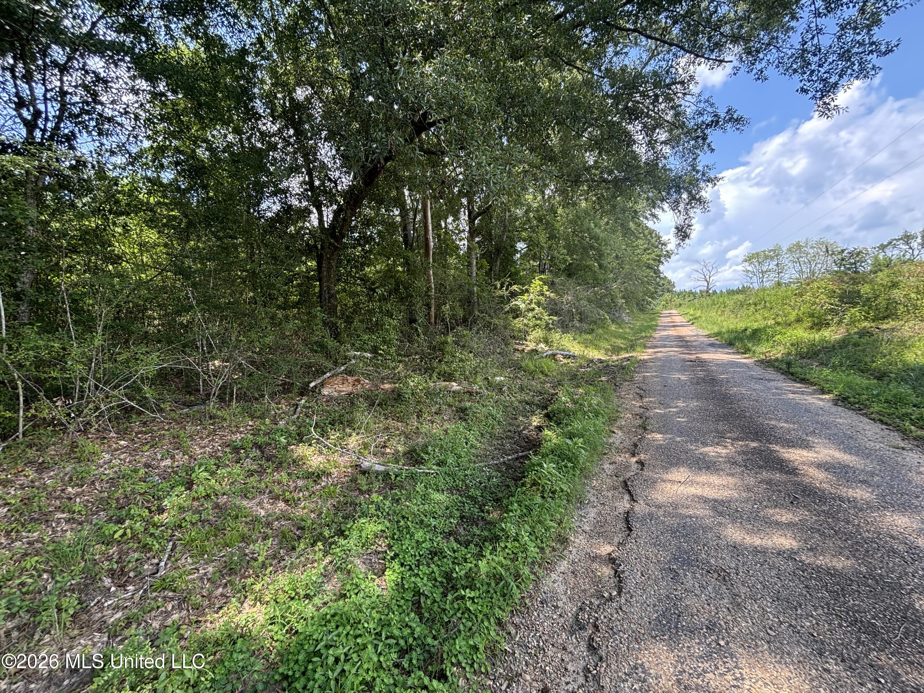 131 B County Road Morton, MS 39117 - Photo 21 of 25 IMG_4845